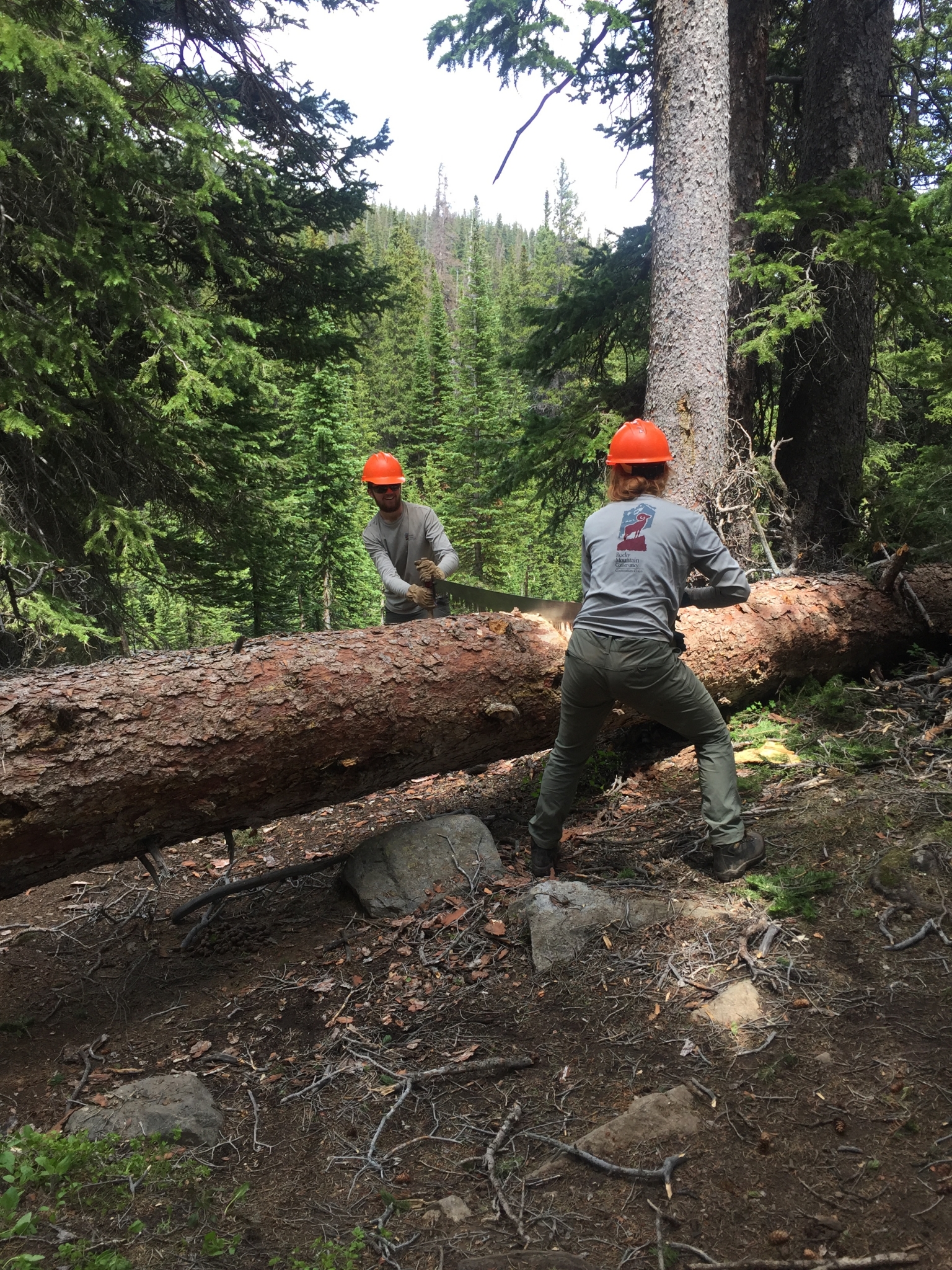 Gustafson_crosscut-giantlog-longslaketrail