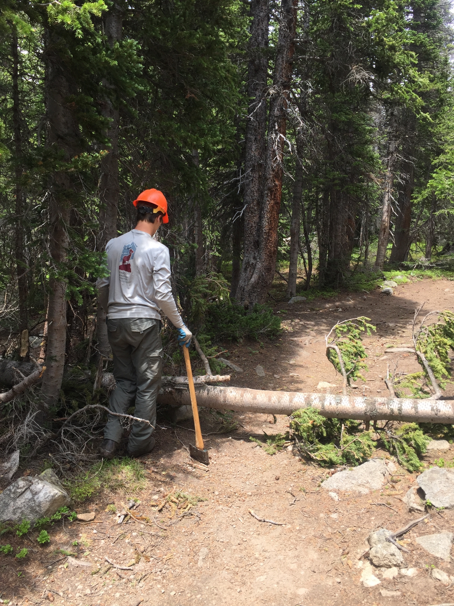 Gustafson_limbing_longslaketrail